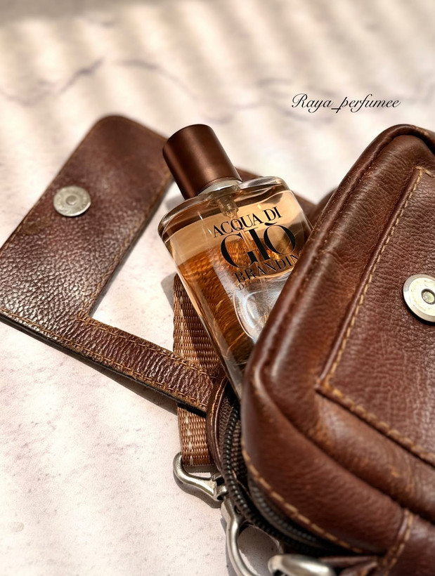 عطر ادکلن آکوا دی جیو ابسولو 33 میل برندینی
